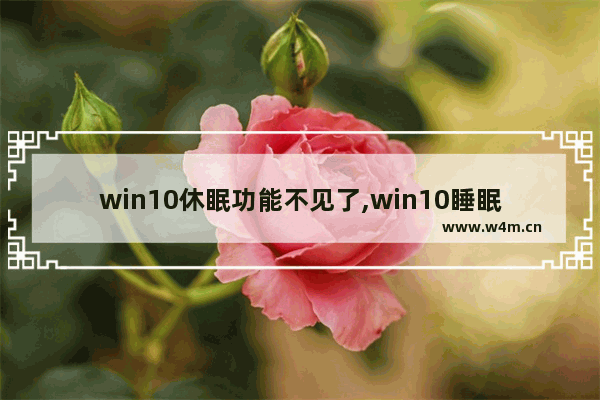 win10休眠功能不见了,win10睡眠功能不见了