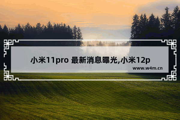 小米11pro 最新消息曝光,小米12pro发布