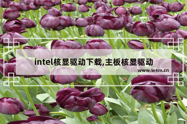 intel核显驱动下载,主板核显驱动