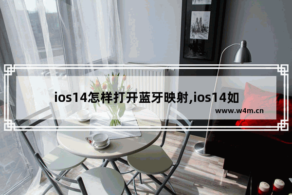 ios14怎样打开蓝牙映射,ios14如何才能支持蓝牙映射