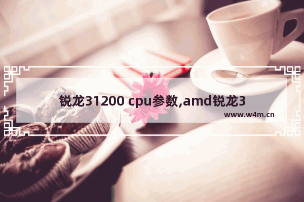 锐龙31200 cpu参数,amd锐龙31200