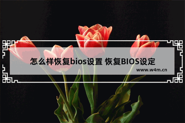 怎么样恢复bios设置 恢复BIOS设定的方法