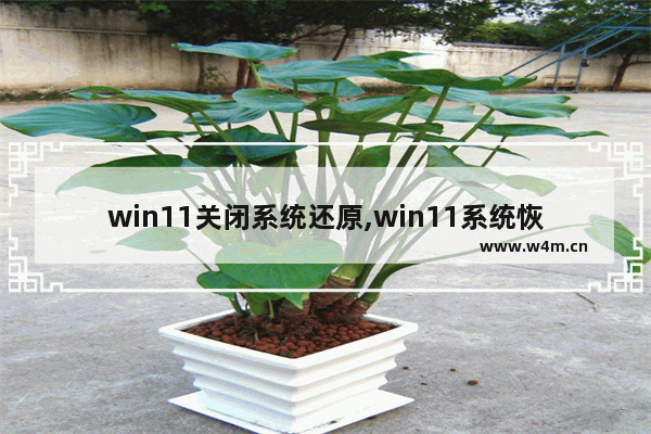 win11关闭系统还原,win11系统恢复