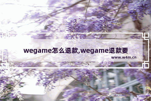 wegame怎么退款,wegame退款要多长时间