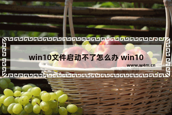 win10文件启动不了怎么办 win10文件无法启动的解决方法