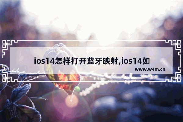 ios14怎样打开蓝牙映射,ios14如何才能支持蓝牙映射