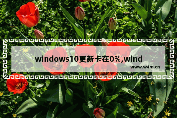 windows10更新卡在0%,windows更新卡在0%