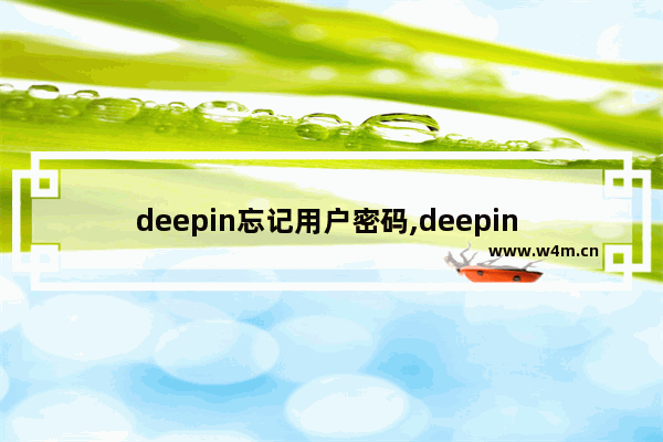 deepin忘记用户密码,deepin 密码