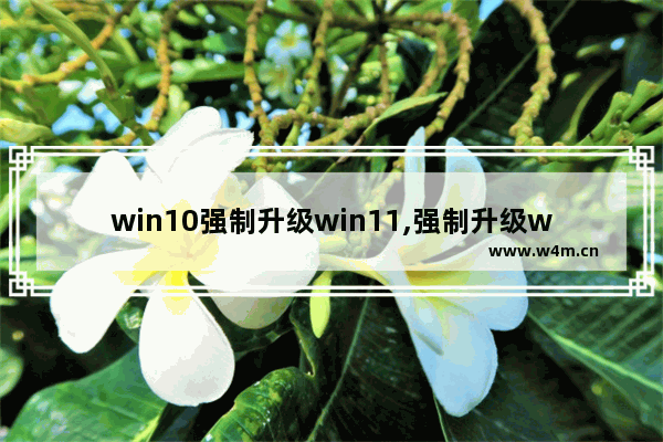 win10强制升级win11,强制升级win11后果