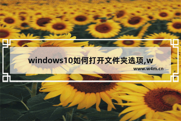 windows10如何打开文件夹选项,win10打开文件方式