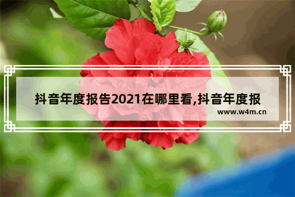 抖音年度报告2021在哪里看,抖音年度报告2021在哪里找到