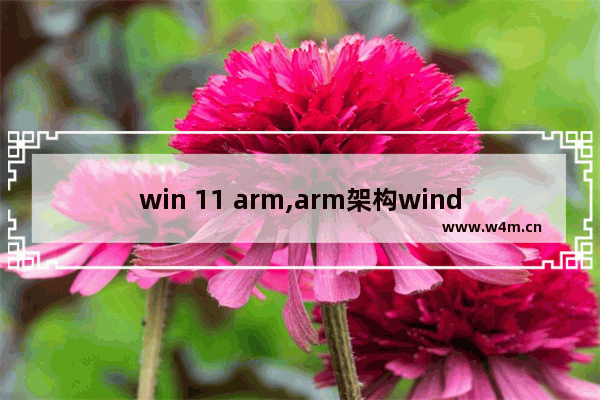 win 11 arm,arm架构windows系统下载