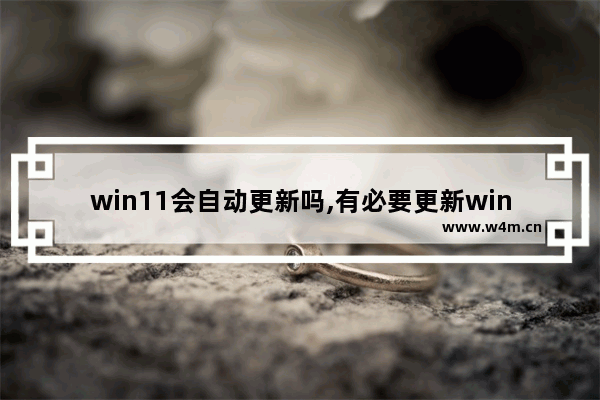 win11会自动更新吗,有必要更新win11吗