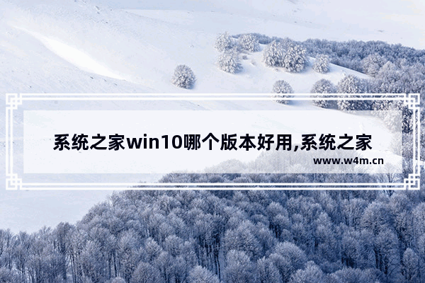 系统之家win10哪个版本好用,系统之家win10怎么样