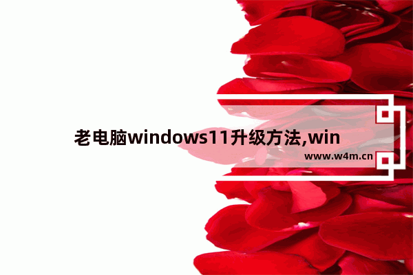 老电脑windows11升级方法,win11系统升级教程