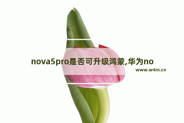 nova5pro是否可升级鸿蒙,华为nova5pro升级鸿蒙系统时间