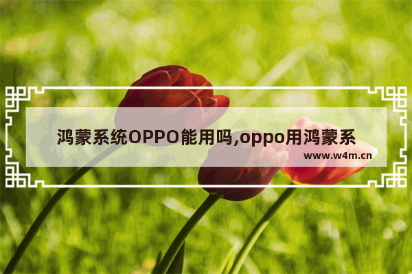 鸿蒙系统OPPO能用吗,oppo用鸿蒙系统吗