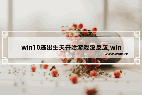 win10逃出生天开始游戏没反应,win10玩逃出生天闪退