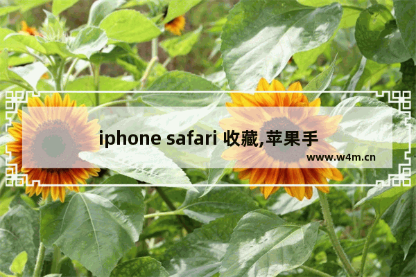 iphone safari 收藏,苹果手机safari个人收藏