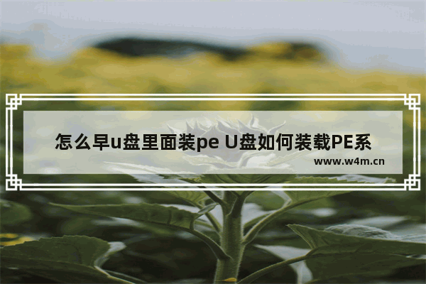 怎么早u盘里面装pe U盘如何装载PE系统？