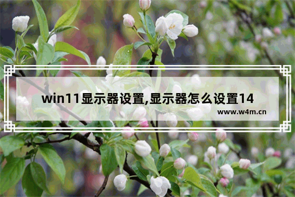 win11显示器设置,显示器怎么设置144hzwin10