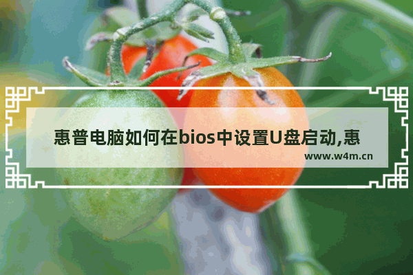 惠普电脑如何在bios中设置U盘启动,惠普电脑bios设置U盘启动