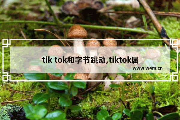 tik tok和字节跳动,tiktok属于字节跳动吗