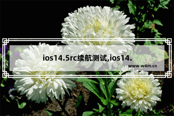 ios14.5rc续航测试,ios14.2rc续航