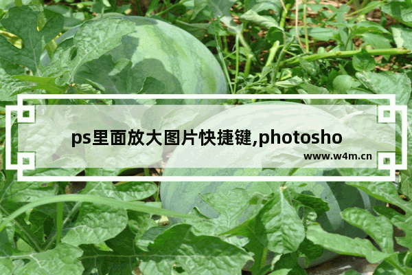 ps里面放大图片快捷键,photoshop放大图片快捷键