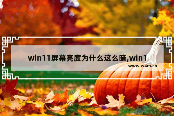 win11屏幕亮度为什么这么暗,win11亮度调节失灵