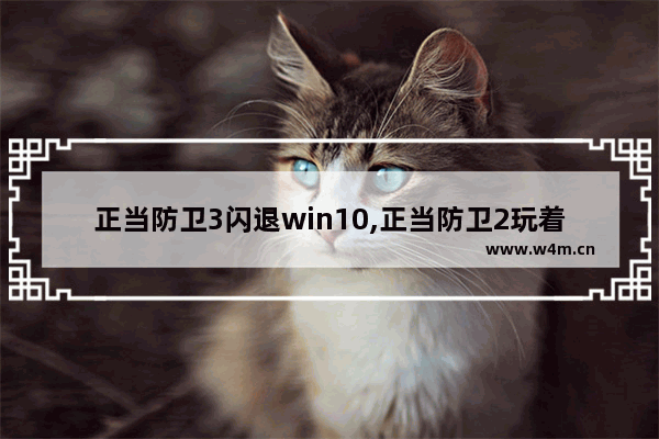 正当防卫3闪退win10,正当防卫2玩着玩着闪退