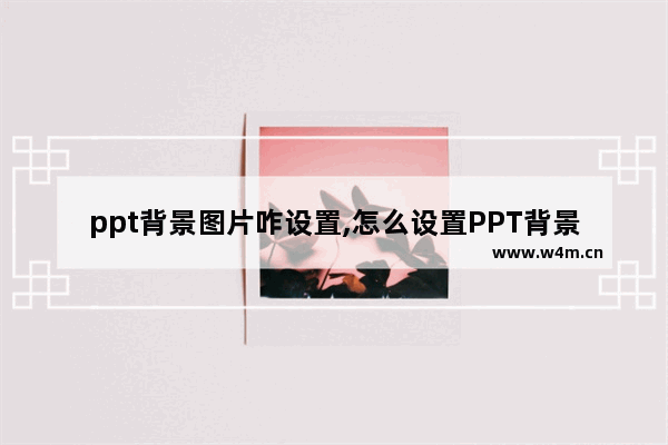 ppt背景图片咋设置,怎么设置PPT背景图片