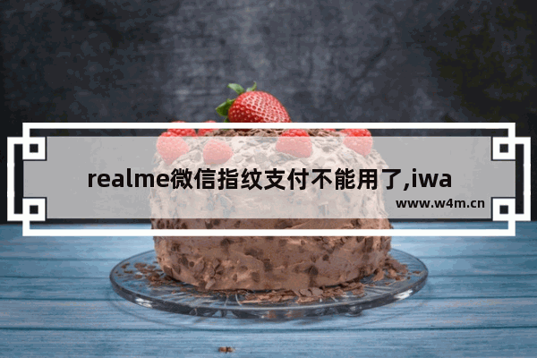 realme微信指纹支付不能用了,iwatch微信可以付款吗