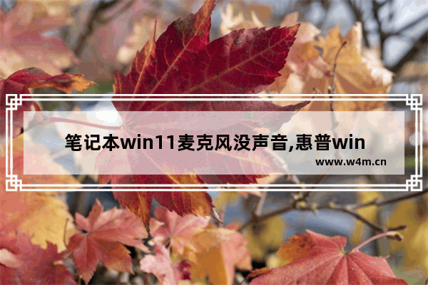 笔记本win11麦克风没声音,惠普win11麦克风没声音