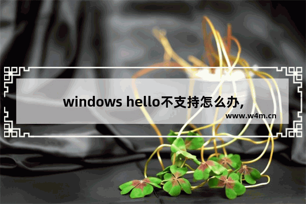 windows hello不支持怎么办,windows hello没反应