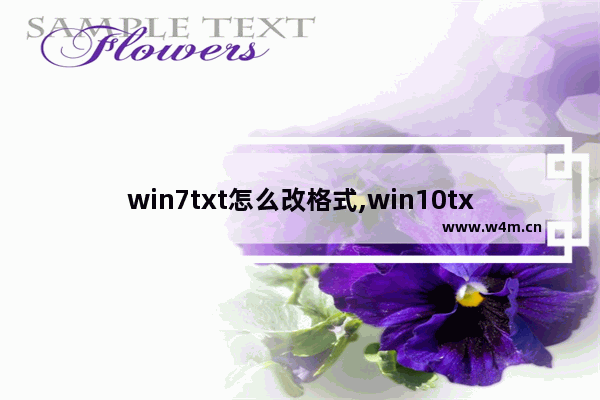 win7txt怎么改格式,win10txt文档怎么改后缀