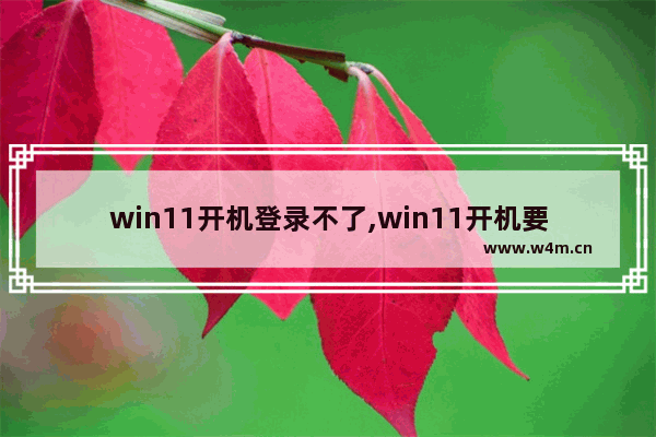 win11开机登录不了,win11开机要登陆账号进入不了系统