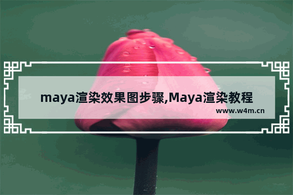 maya渲染效果图步骤,Maya渲染教程