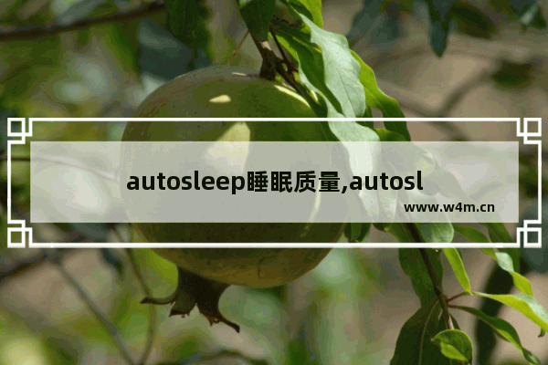 autosleep睡眠质量,autosleep睡眠时间短