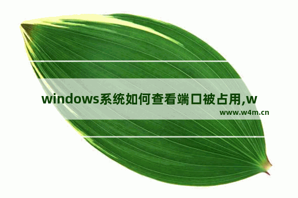 windows系统如何查看端口被占用,windows7查看端口占用