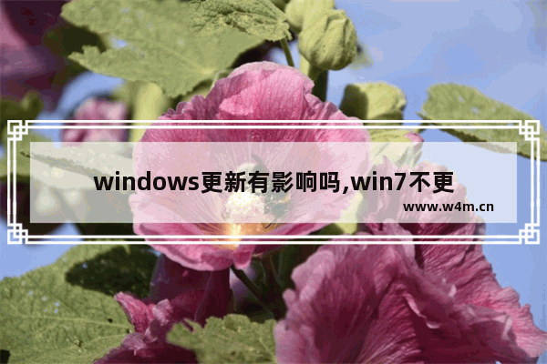 windows更新有影响吗,win7不更新会怎样