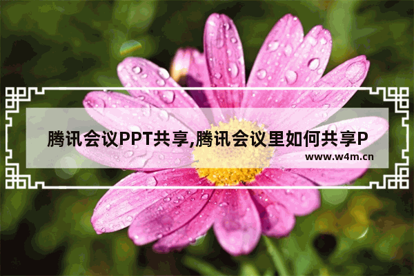 腾讯会议PPT共享,腾讯会议里如何共享PPT