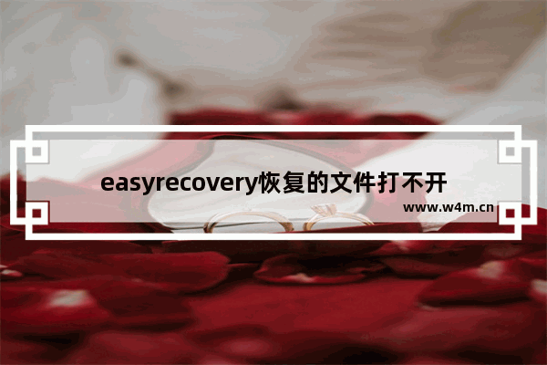 easyrecovery恢复的文件打不开,easyrecovery扫描不出文件