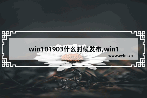 win101903什么时候发布,win101809什么时候发布