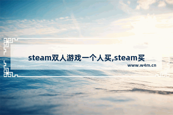 steam双人游戏一个人买,steam买一个游戏能两个人玩吗