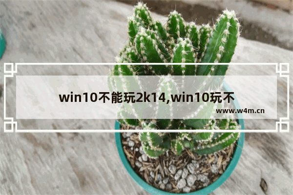 win10不能玩2k14,win10玩不了2k14