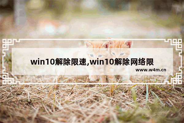 win10解除限速,win10解除网络限速方法