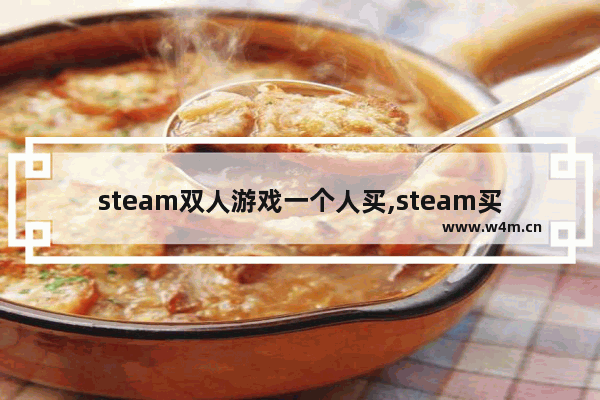 steam双人游戏一个人买,steam买一个游戏能两个人玩吗