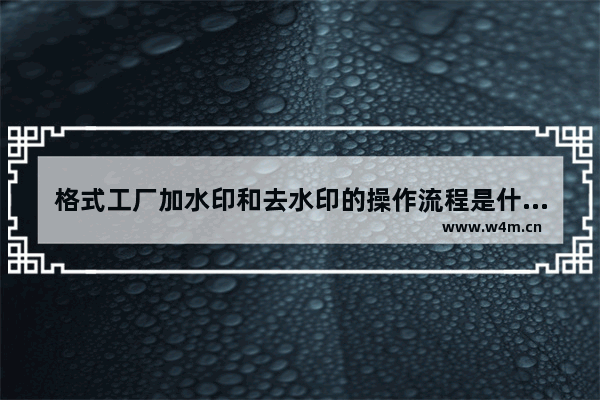 格式工厂加水印和去水印的操作流程是什么,格式工厂去水印怎么弄