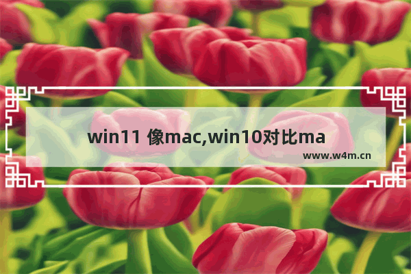 win11 像mac,win10对比mac os